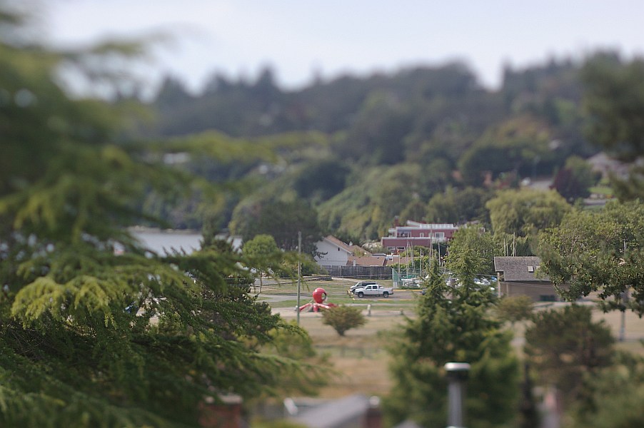 gal/2009-08-26 tilt shift/IMGP8456.jpg